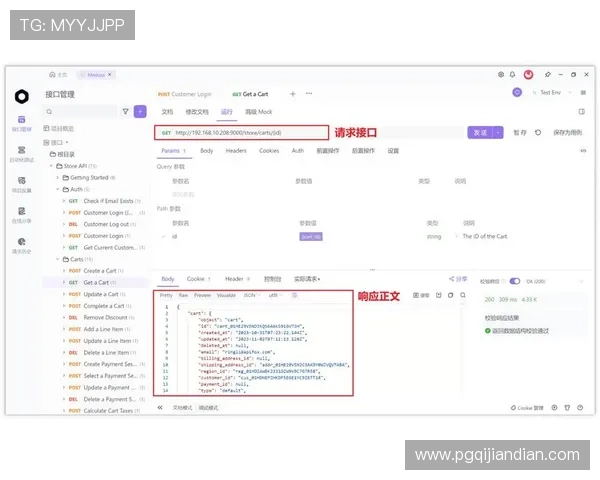 全面解析PG电子游戏API的功能特点与集成流程帮助开发者快速上手