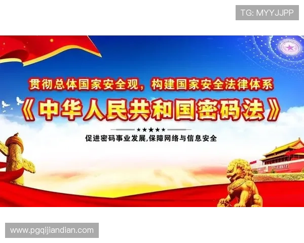 PG官方网址安全登录指南，教你如何避免账号被盗保障个人信息安全